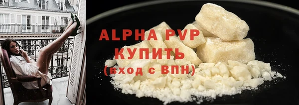 спиды Зеленокумск