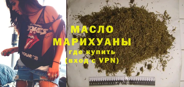 МДПВ Инсар