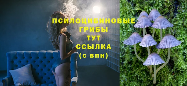 а пвп мука Гусь-Хрустальный