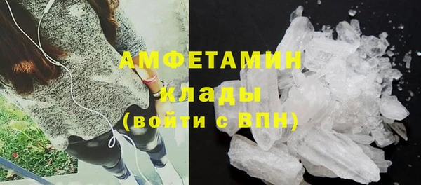 ПСИЛОЦИБИНОВЫЕ ГРИБЫ Дмитриев