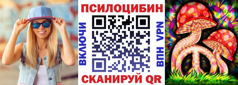 Купить закладки  Кольчугино  Псилоцибиновые грибы Cubensis 